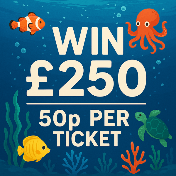 £250 Cash 50p per ticket