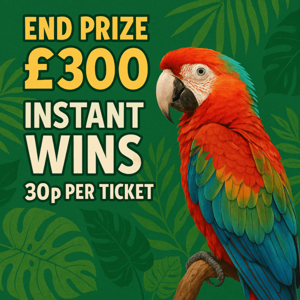 £300 & Instant Wins