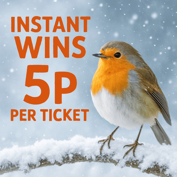 Snowy Days....... and Instant Wins