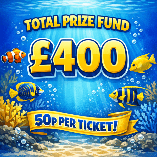 Instant Wins Only - Total Prize Fund £400